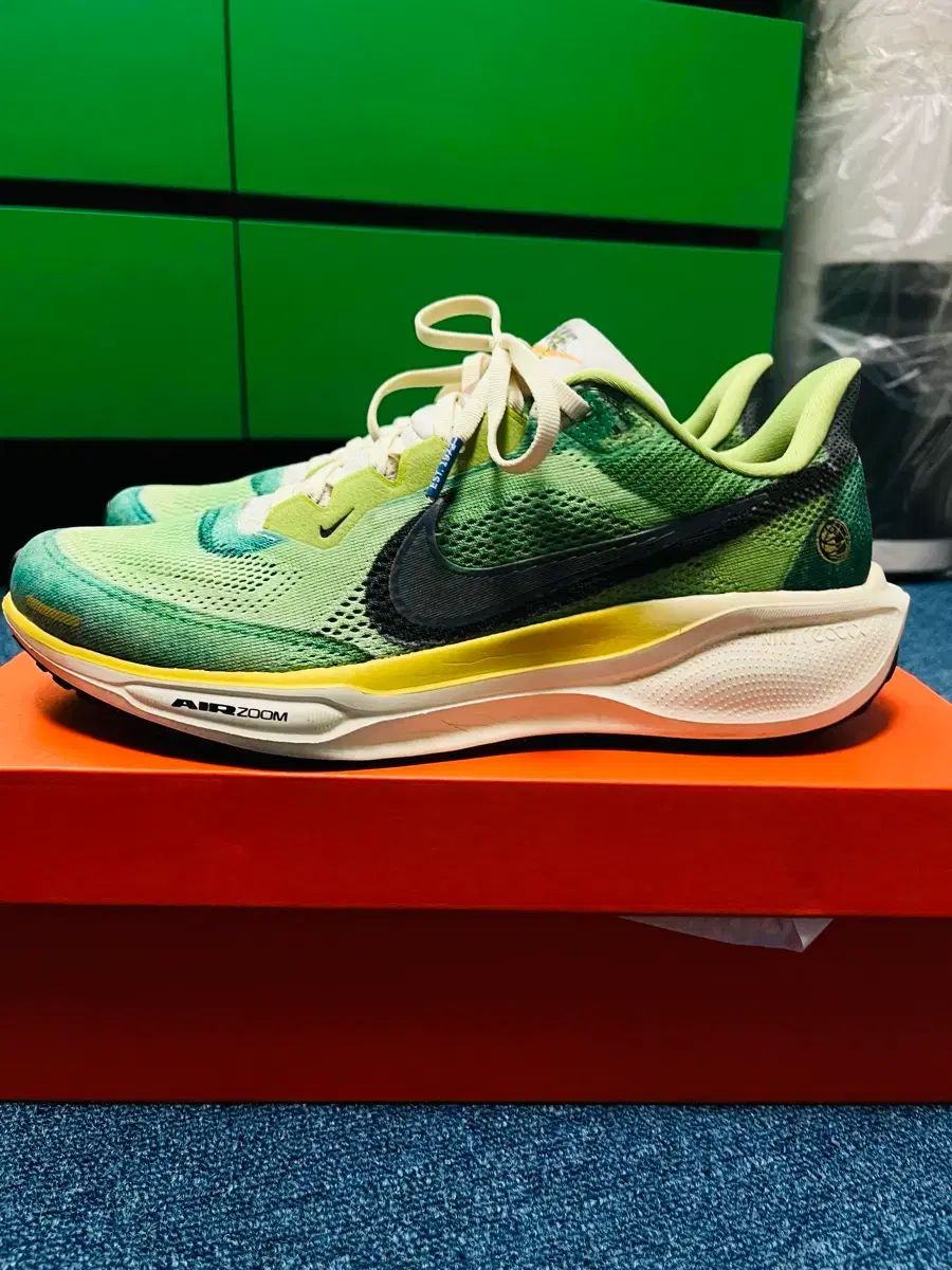 ペガサス41 VIVID