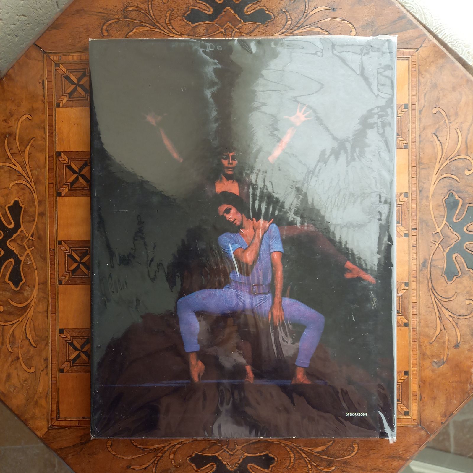 洋書 フランス語 Jorge DONN danse BEJART ベジャール ジョルジュ ドン 写真集