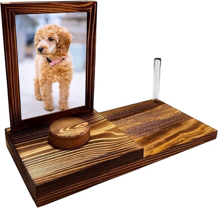 木曽鈴木W-200 3ピースバック 弦交換 調整済 鳴り良好 ハードケース付き