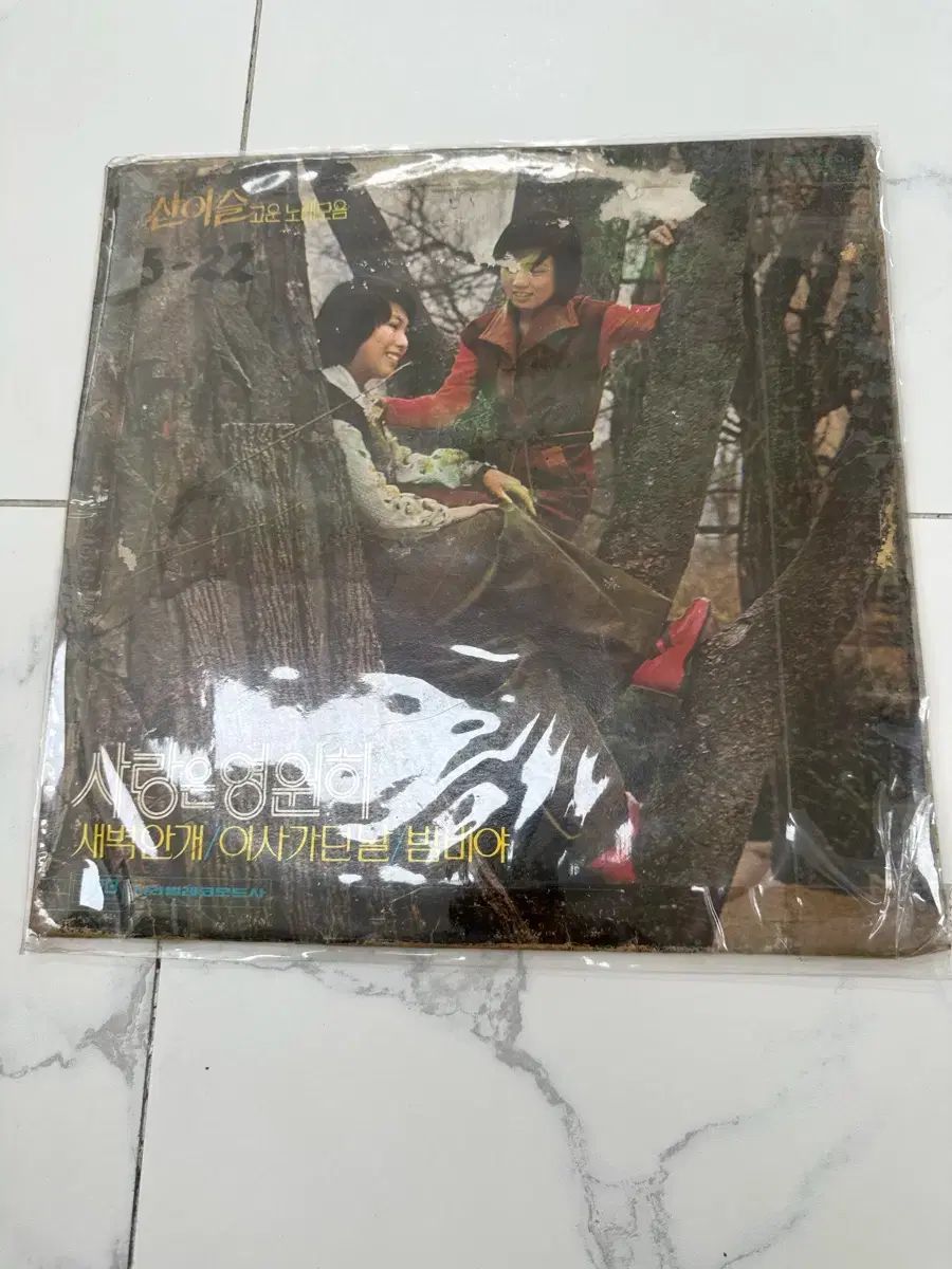 みょうばん マウンテンデュー LP ディレクター 私は行こうとしていた 日 初版 美しい歌 ー