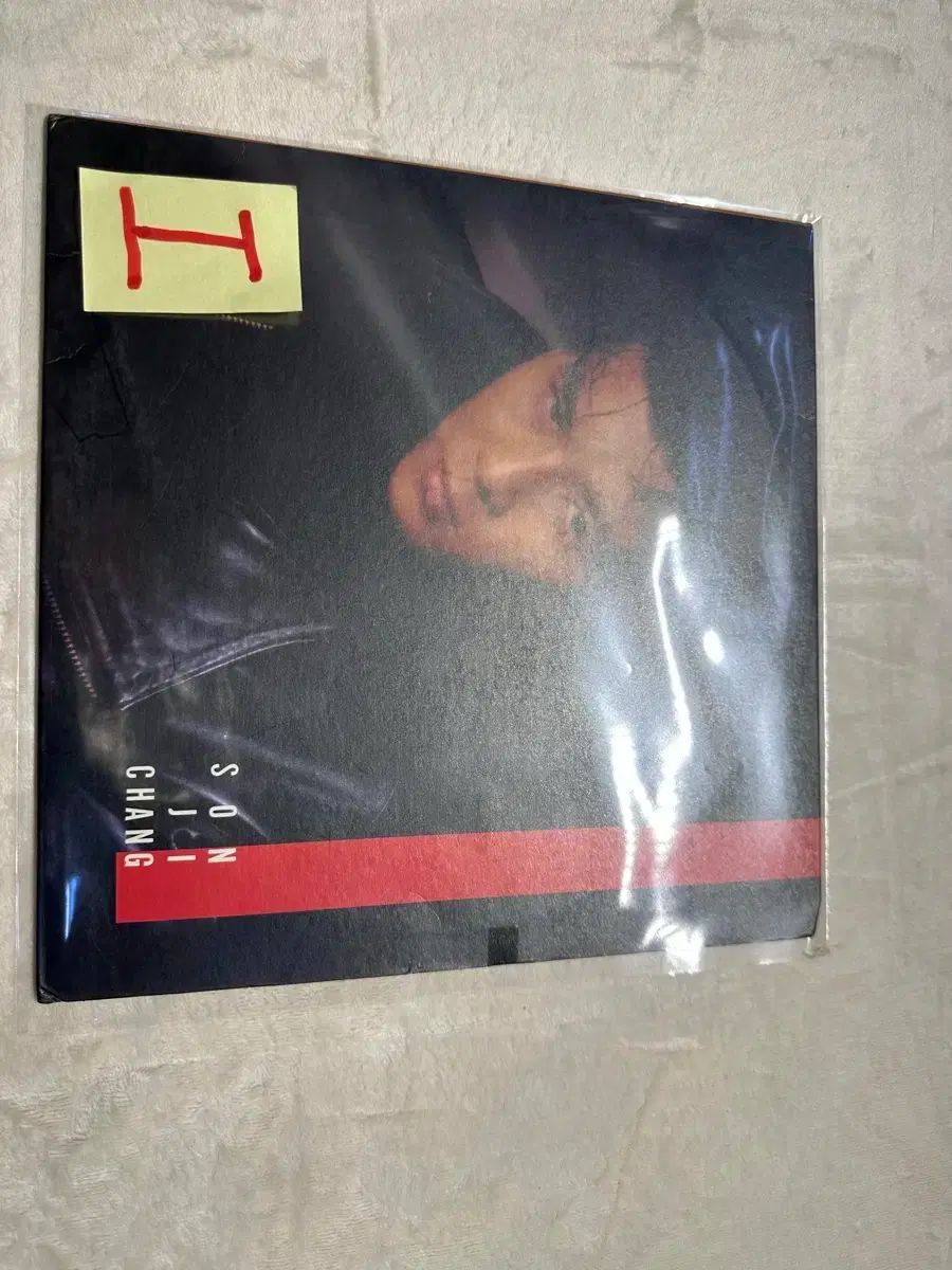 ハンド・スノー 1 家 LP (私は あなた 私が感じているかのように ／