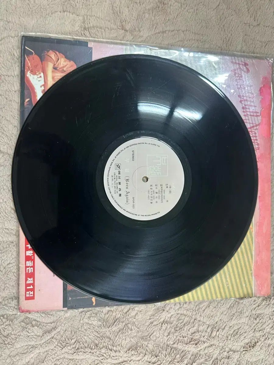 復活 ゴールデン Golden ぼくの 1 家 (회야 びわ きみの ストーリー