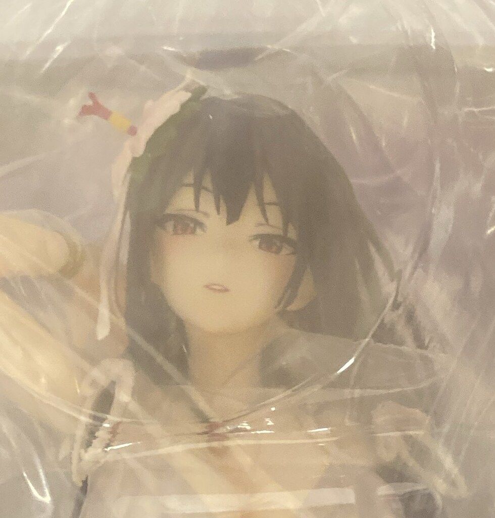 オーキッドシード 鷹峰高嶺 PVC - メルカリ