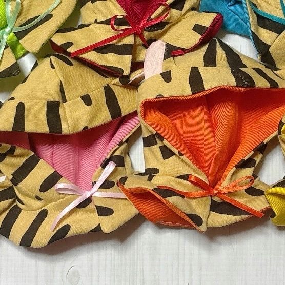 トラック王さま専用 一生に一度出会えるか？ 【特別価格】極太ドラセナドラコ ※引き取り