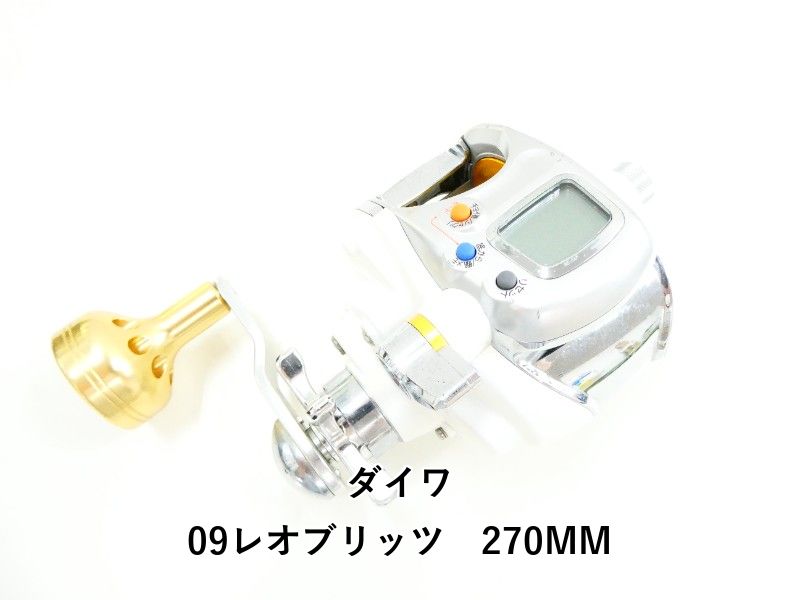 ダイワ 09レオブリッツ 270 MM 03-