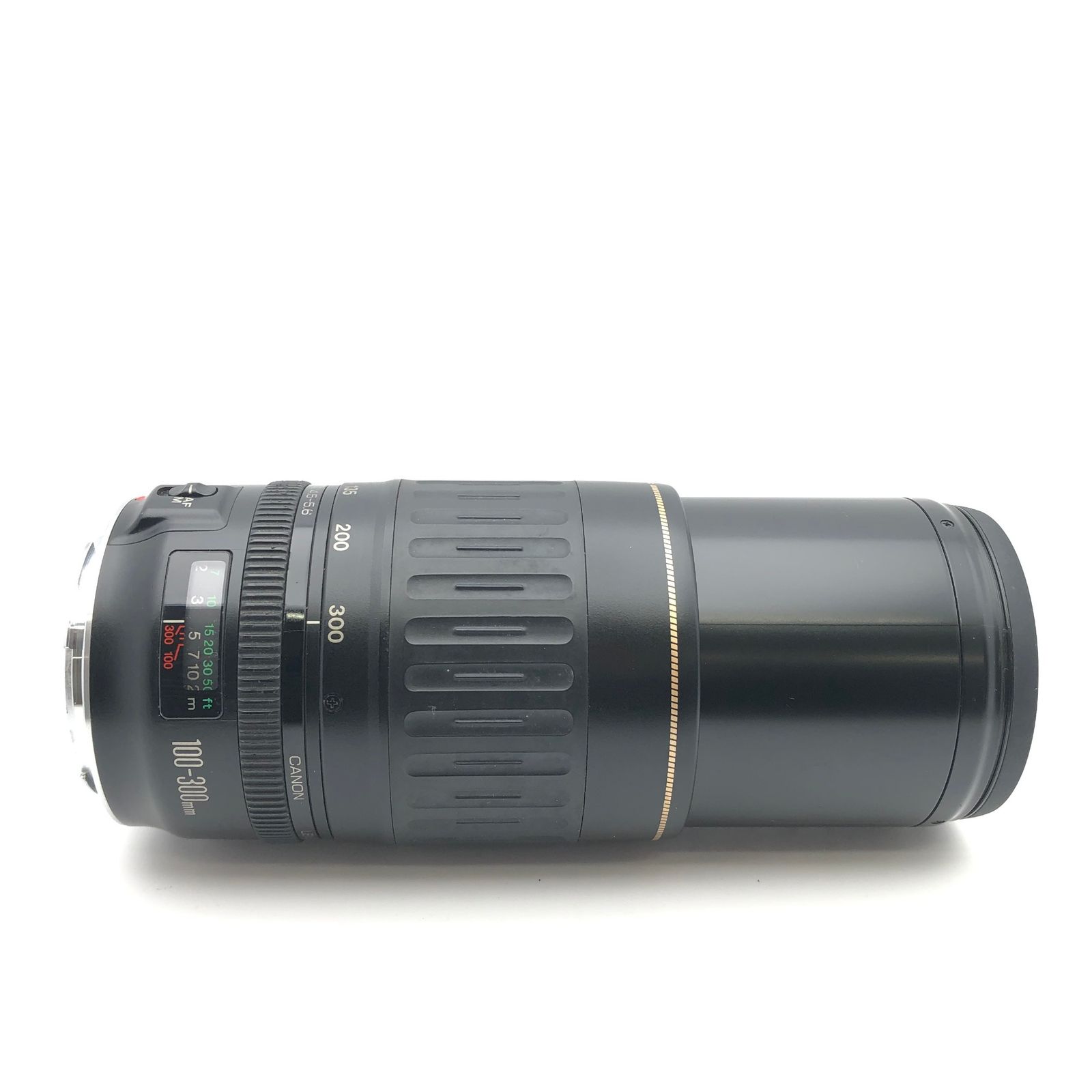 Canon キヤノン 望遠レンズ 100-300mm　迫力の300㎜！LENS Canon キヤノン 望遠レンズ 100-300mm 迫力の300㎜！LENS canon 100