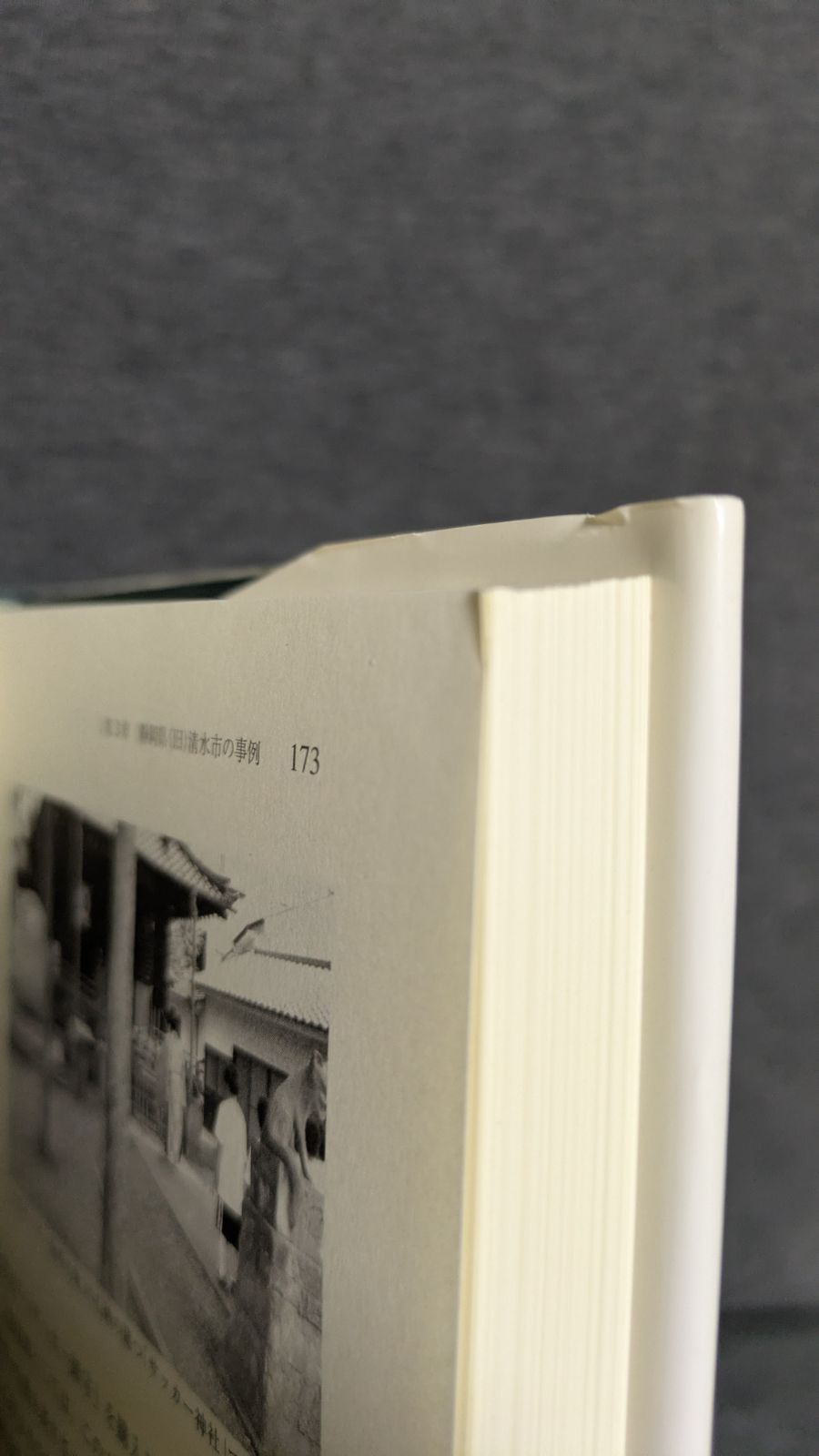 サッカーからみる日韓のナショナリティとローカリティ: 地域スポーツ