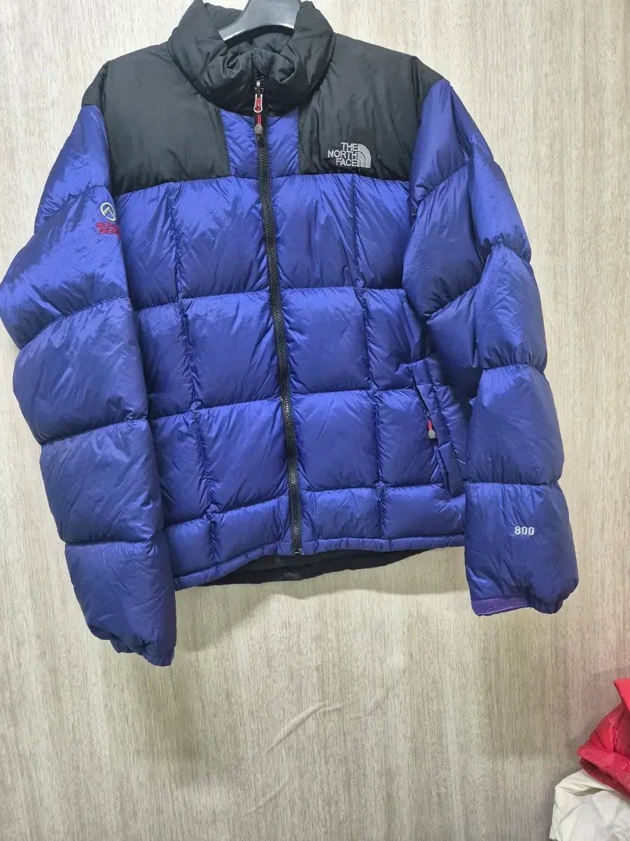 THE NORTH FACE ザノースフェイス サミット ローツェ 800 ダウン ブルー