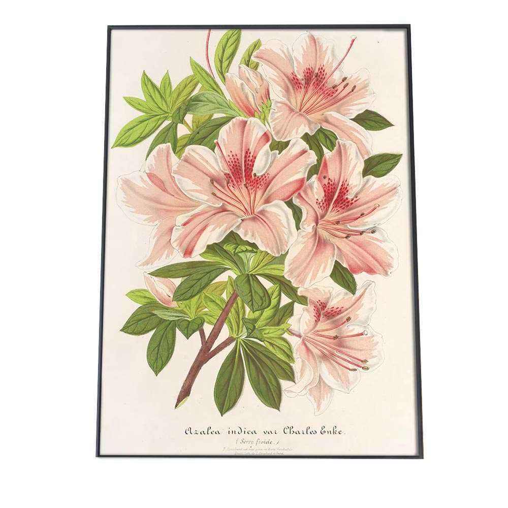 B2サイズ（約51x73cm）】【bn-poster-874】ポスター フレーム付き 花