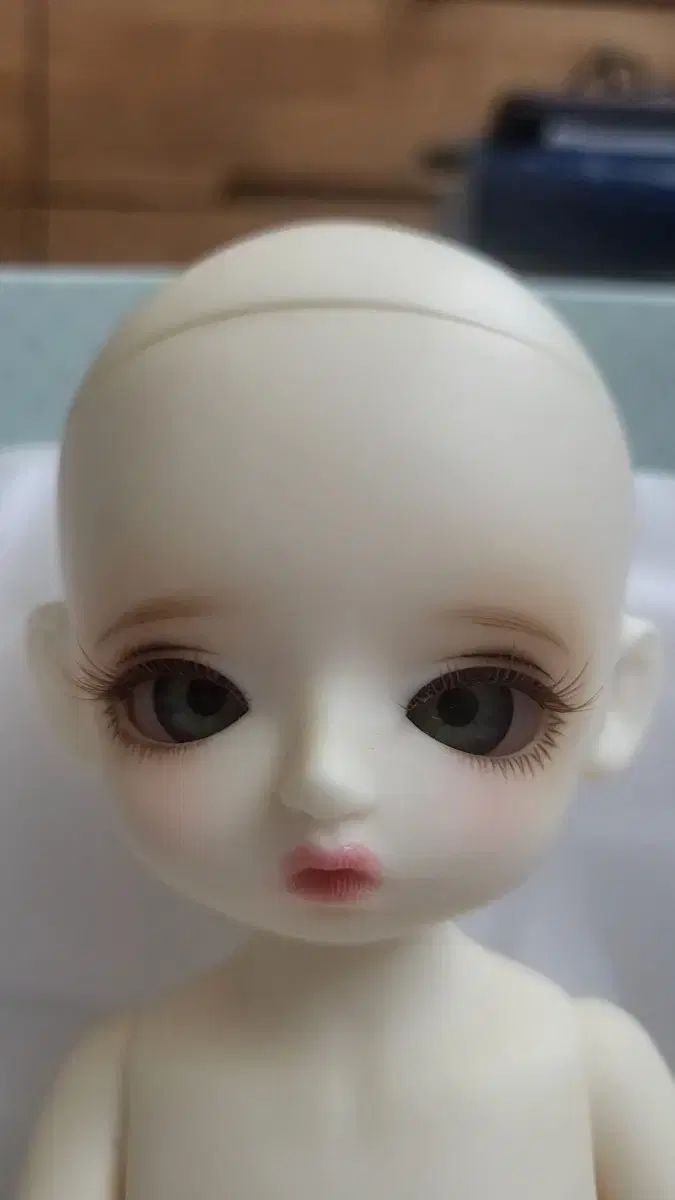 旧官INぬいぐるみ