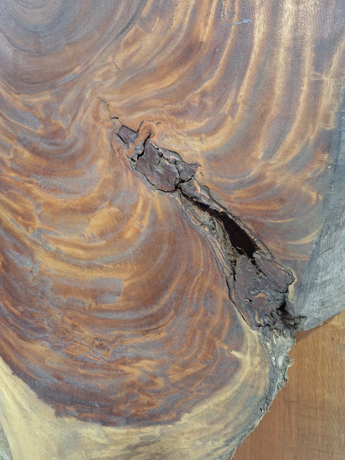  モンキーポッド 耳付 一枚板 未加工品 無垢材 直接引取OK 1500ｘ400ｘ65㎜ むくもりショップ 3201 木材 材料 資材