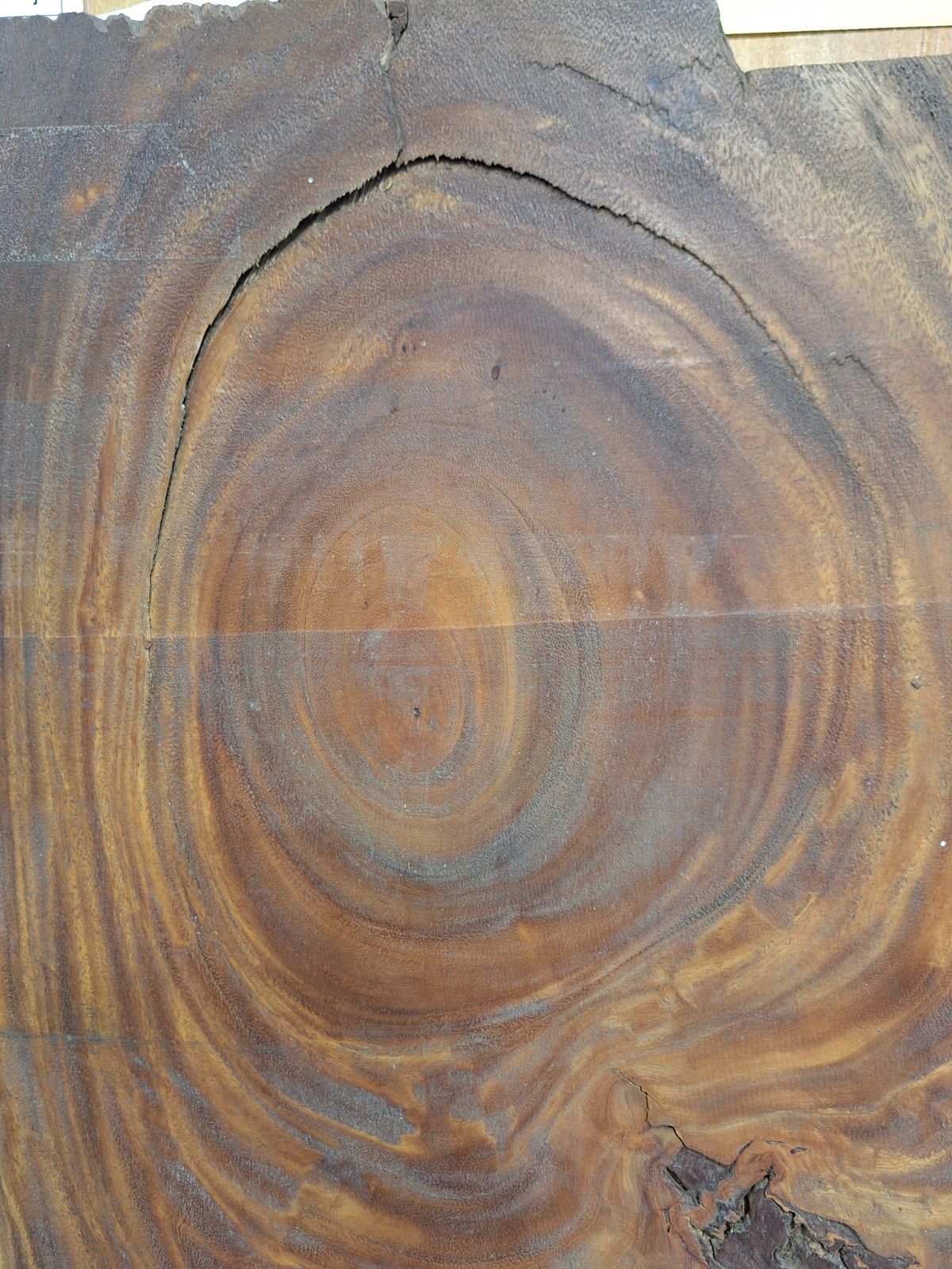 むくもりショップ 3201