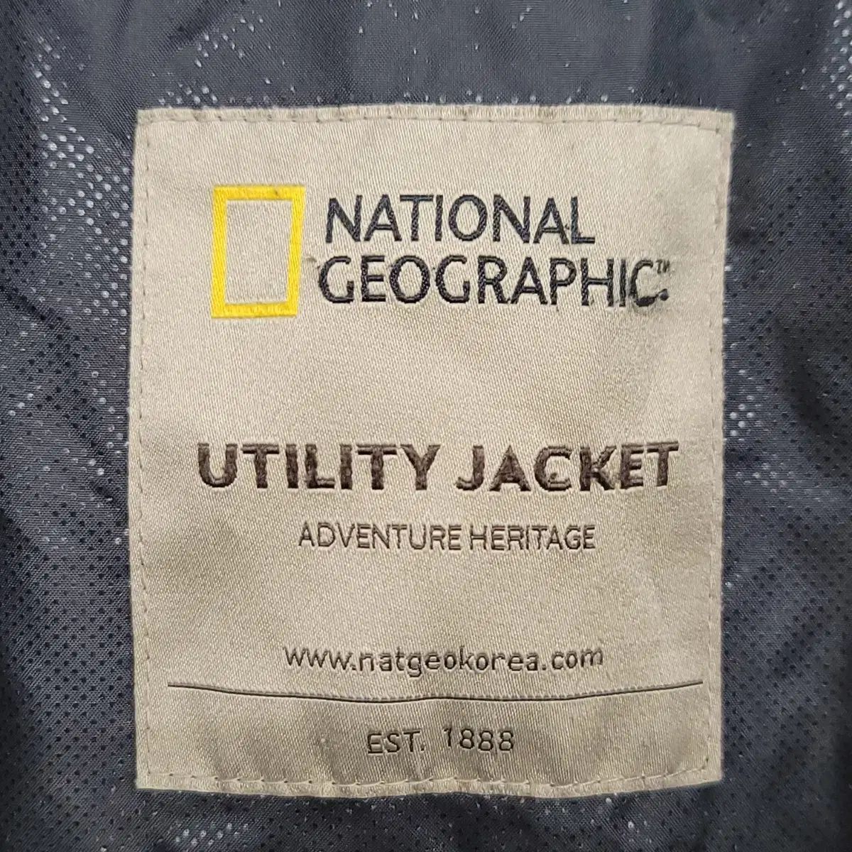 110|XXL ナショナルジオグラフィック ダウン