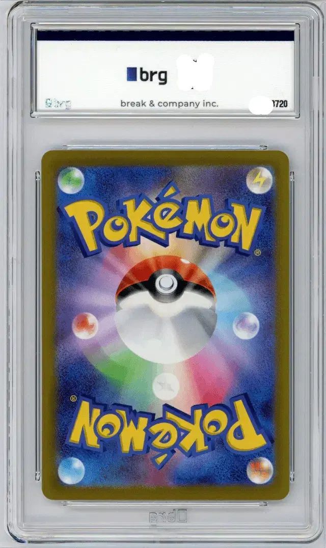 BRG 10 一般 Universe リザードン