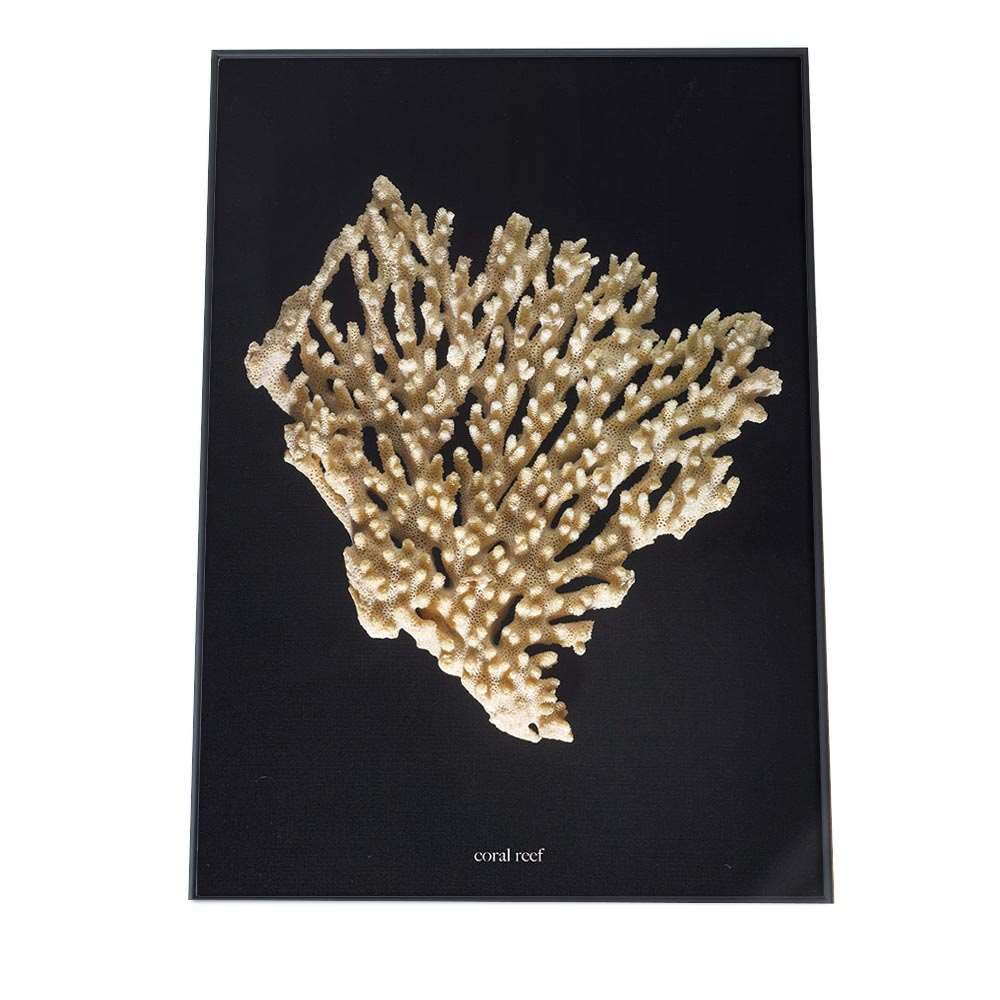 三喜屋・野村モーター'S BAND WORKS CD