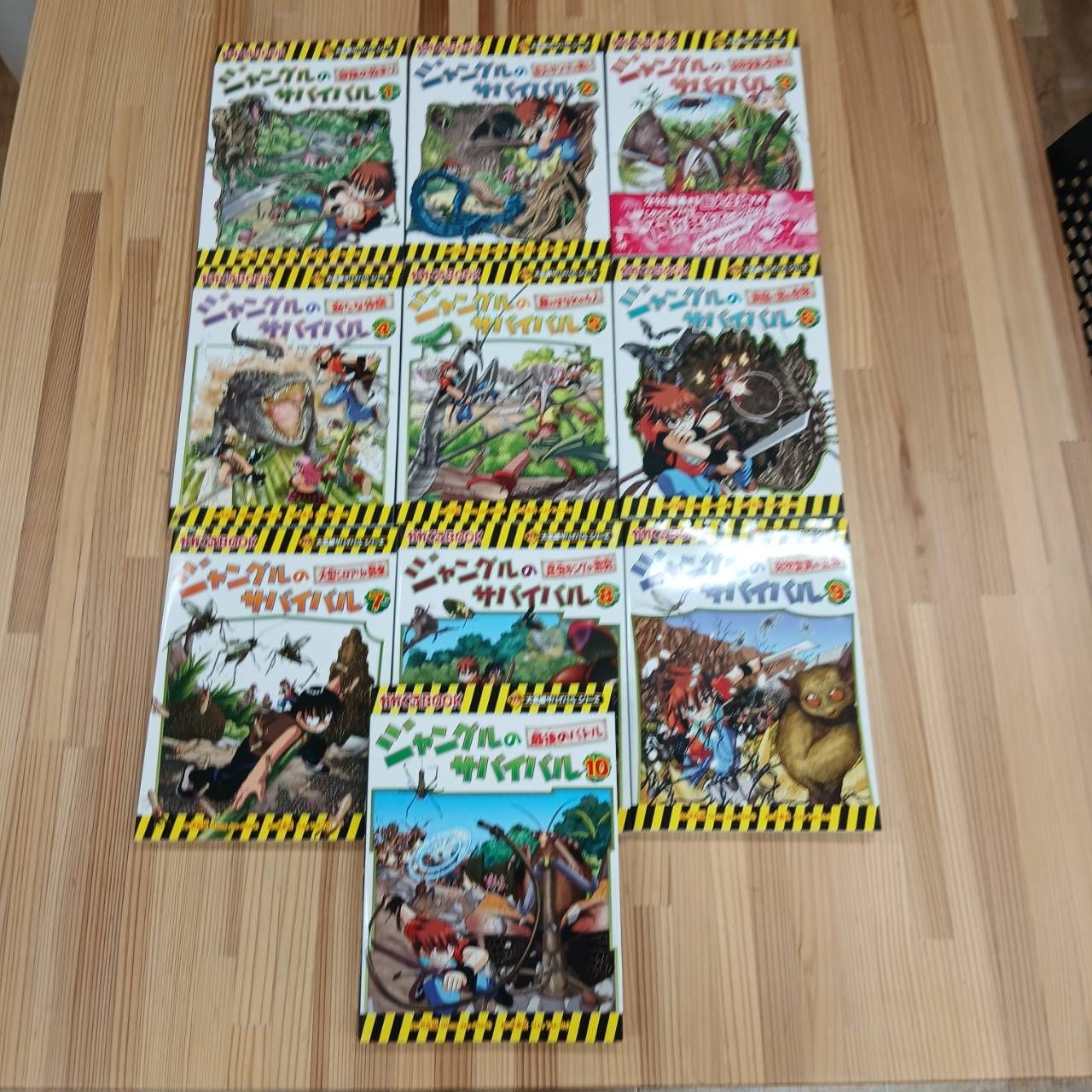 大冒険サバイバルシリーズ ジャングルのサバイバル10巻セット - メルカリ
