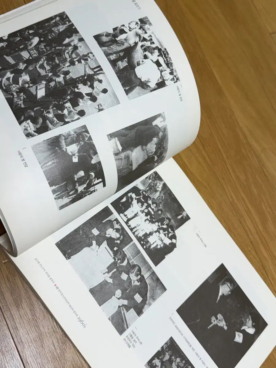 韓国赤十字社 写真で見る 韓国青少年赤十字