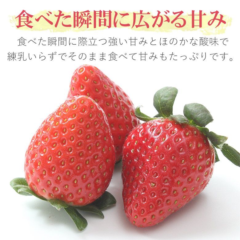 1月中旬から順次ご発送】埼玉 あまりん 4パック 入り いちご イチゴ あまり