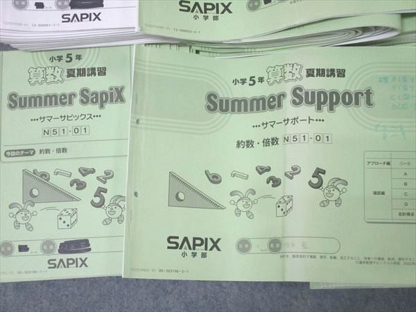 SAPIX 小学5年 算数 デイリー/サマーサピックス/サポート 計102回分