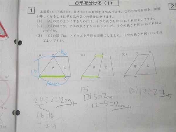 SAPIX 小学5年 算数 デイリー/サマーサピックス/サポート 計102回分