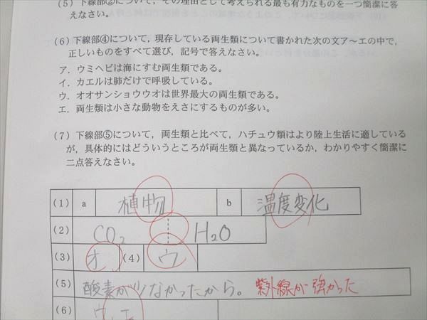 SAPIX サピックス 中学2年 理科 春期/夏期/冬期講習/MAIN SAPIX 計47