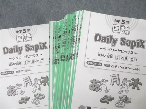 SAPIX 小学5年 国語 サマー/デイリーサピックス 52A/52B 計84回分