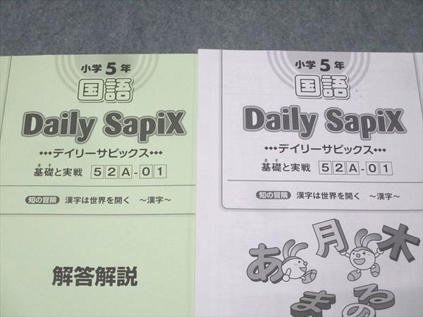SAPIX 小学5年 国語 サマー/デイリーサピックス 52A/52B 計84回分