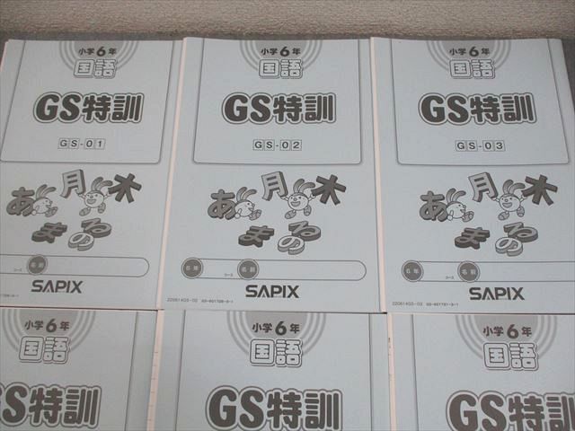 SAPIX サピックス 小6 国語 GS特訓 GS-01～06 2020年度版 通年セット 全て状態良い 計6冊 023 S 2 D