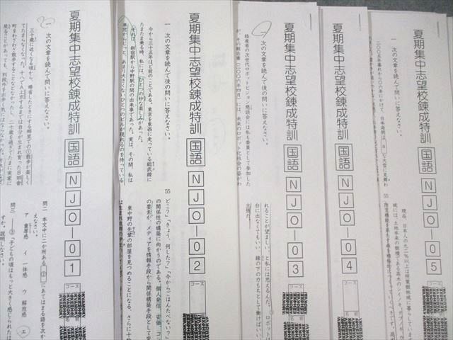 SAPIX 小6 サピックス 女子学院コース 夏期集中志望校錬成特訓 国語