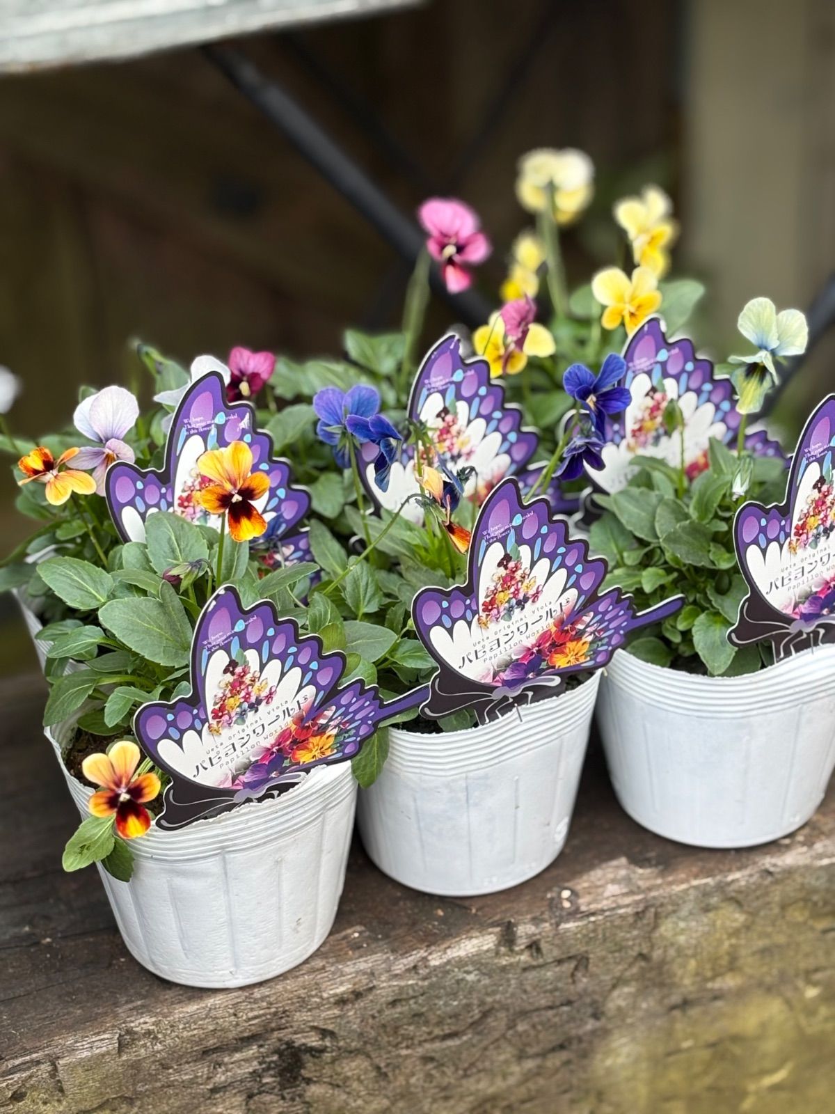 Diemm. 3way bag 24AW オレンジ