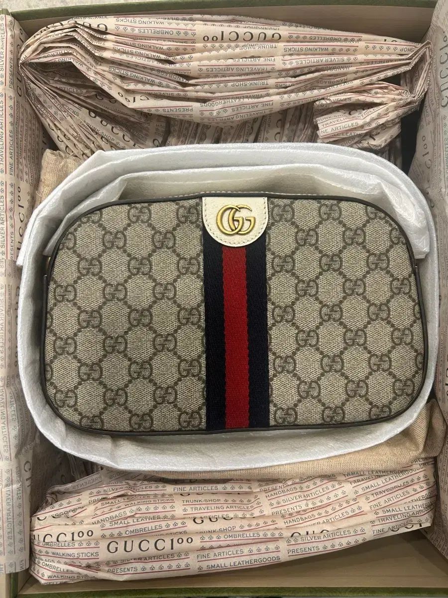 グッチ オディフィア GG クロス ショルダーバッグ