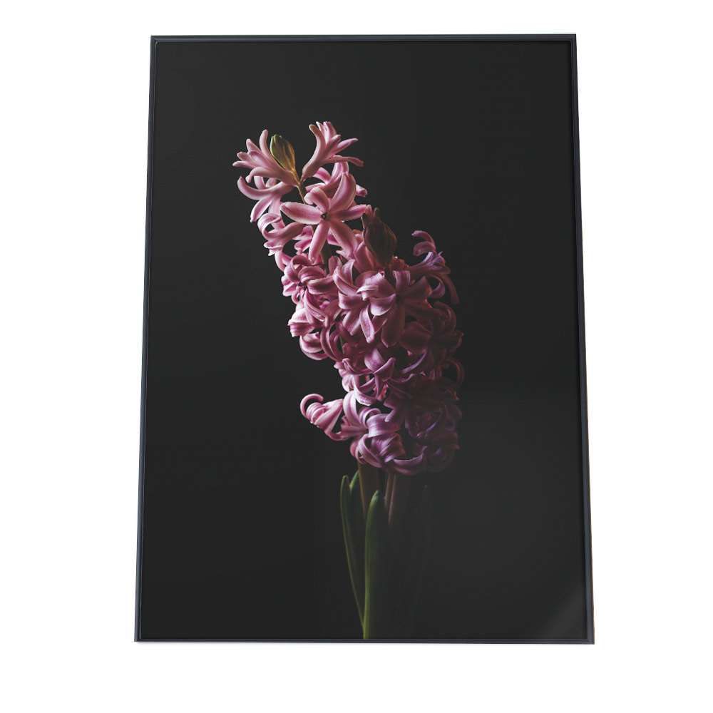 廃盤 美品 SWAROVSKI オーキッド ブロッサム 胡蝶蘭 クリスタル