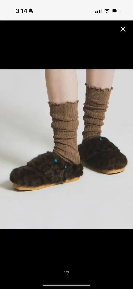 ペルカー TICO Leopard