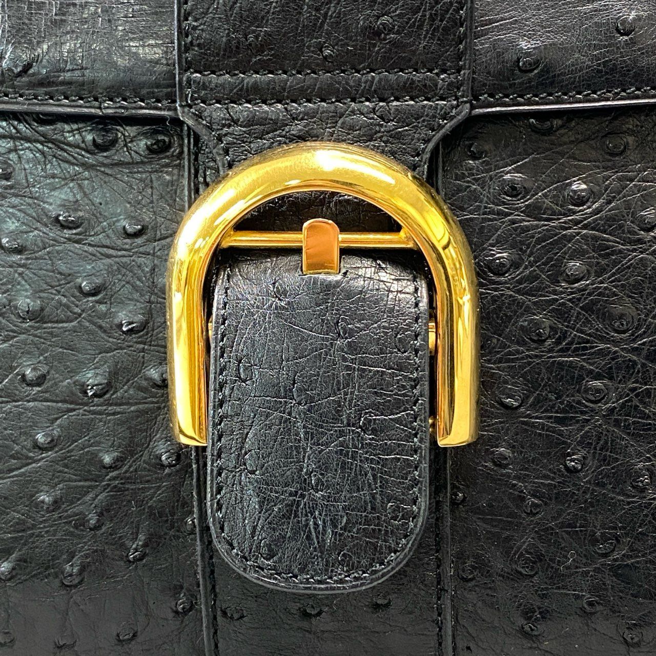 AL8 【美品】DELVAUX デルヴォー ブリヨン オーストリッチ 