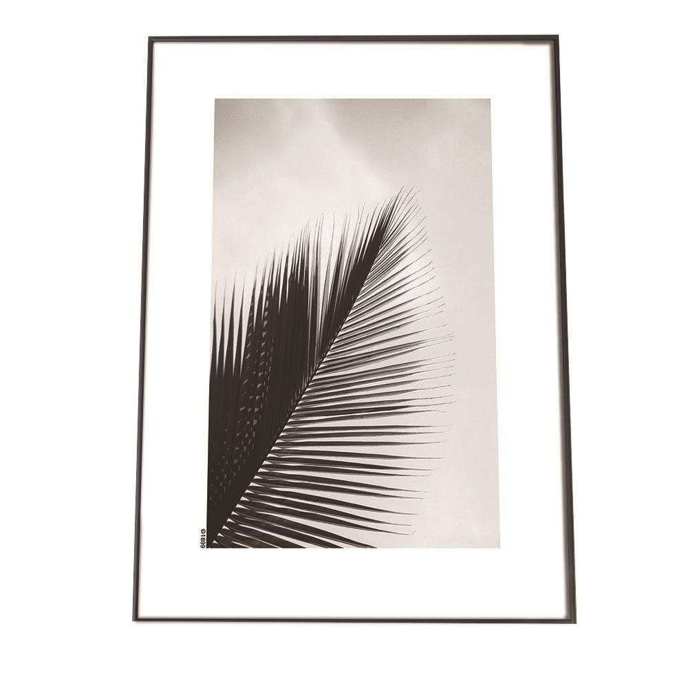 頭蓋療法と身体呼吸／マニュアル メディスン上級編