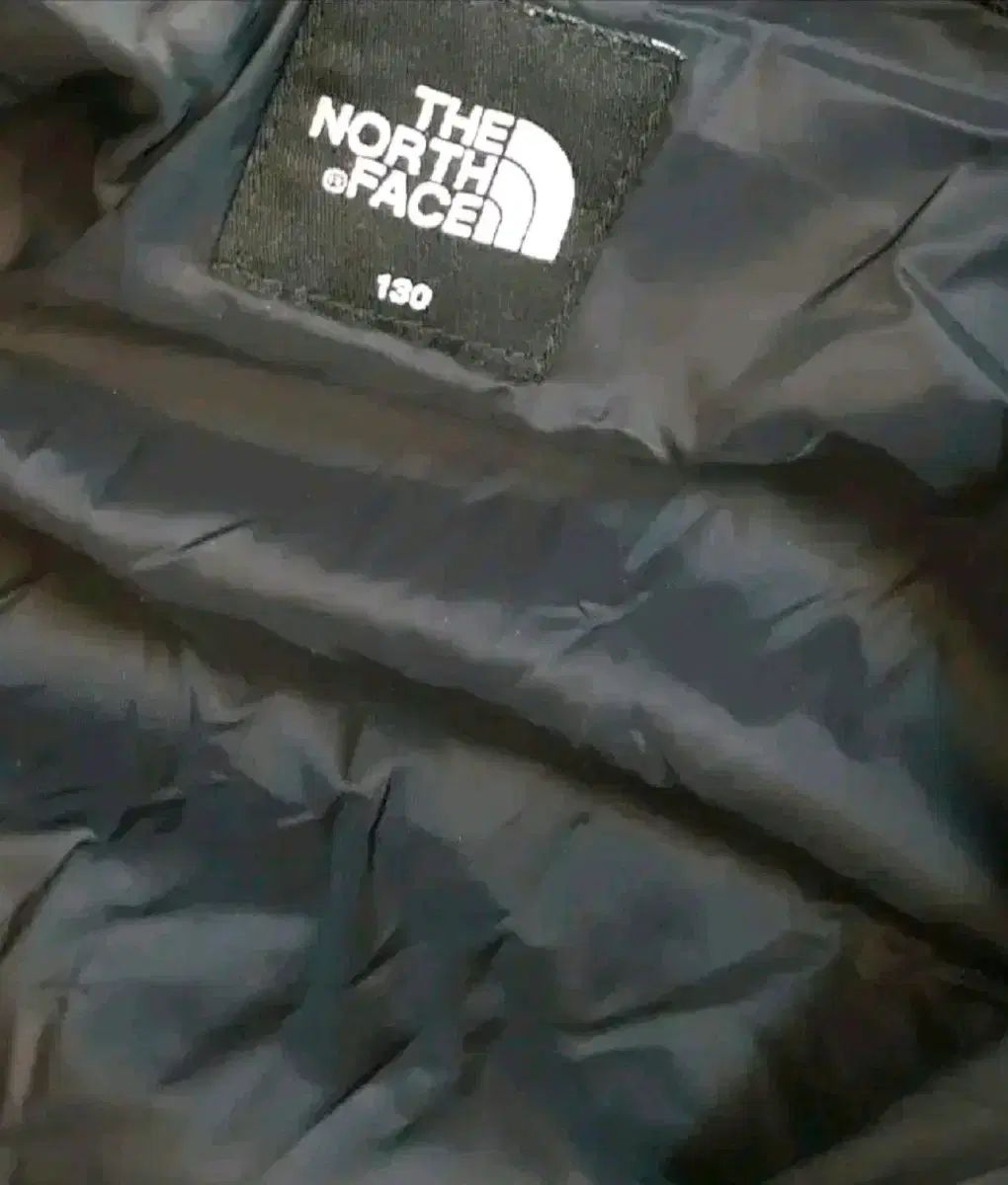 FACE ザノースフェイス