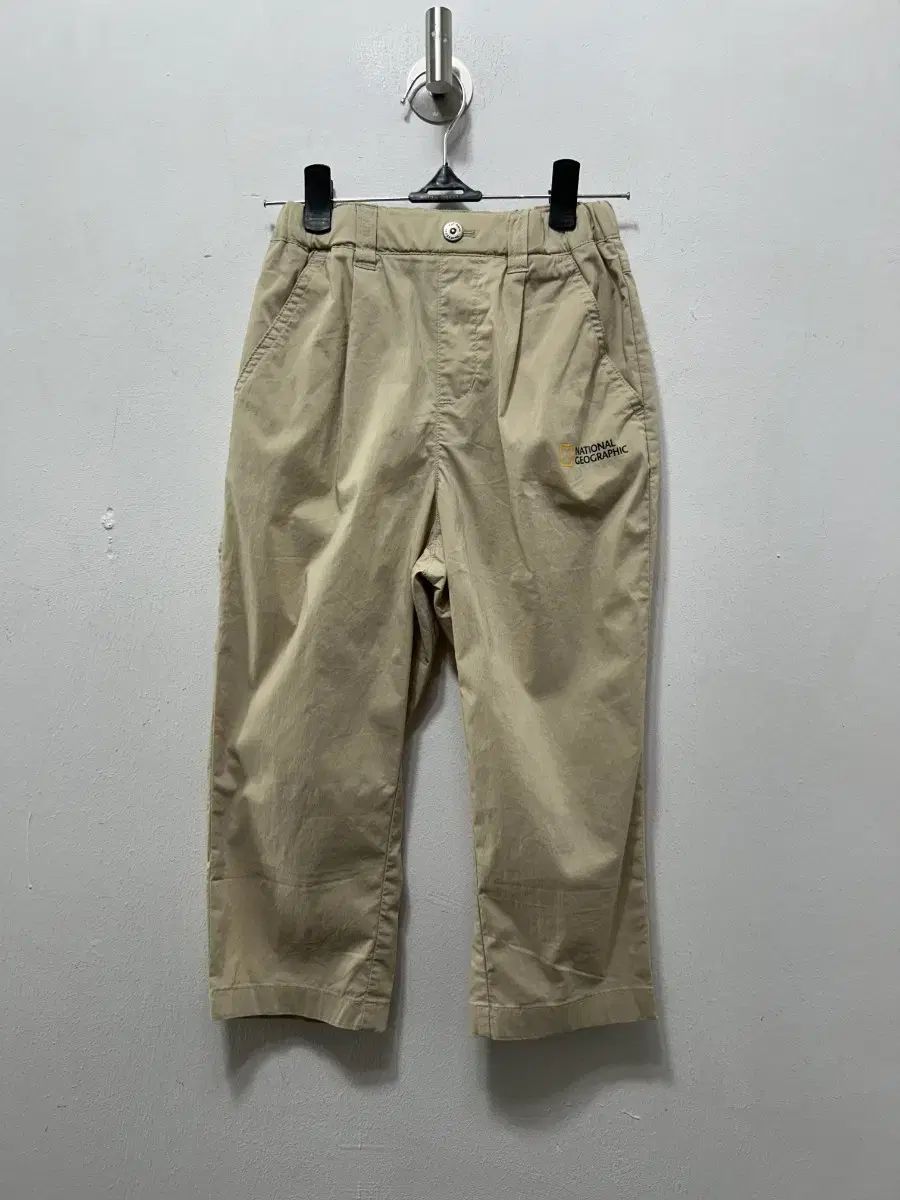 琴とバチ、赤いケース付き 琴とバチ、赤いケース付き