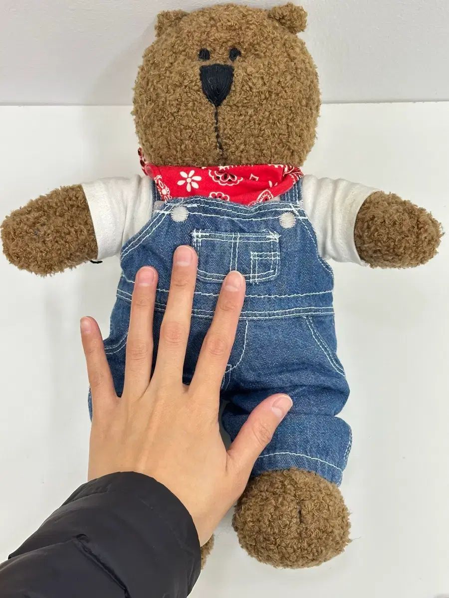 サスペンダー Teddy