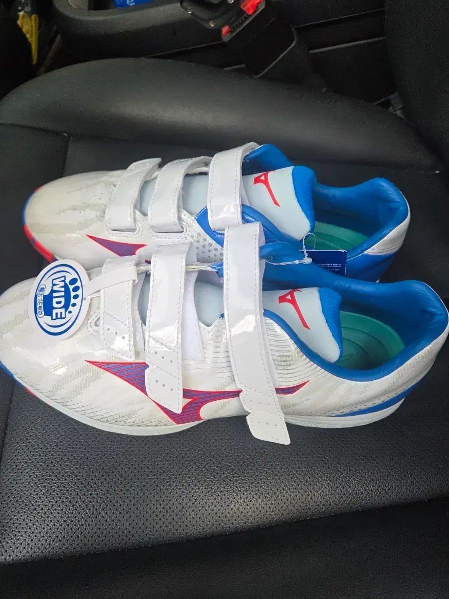 ミズノ 人造芝野球シューズ 265 販売