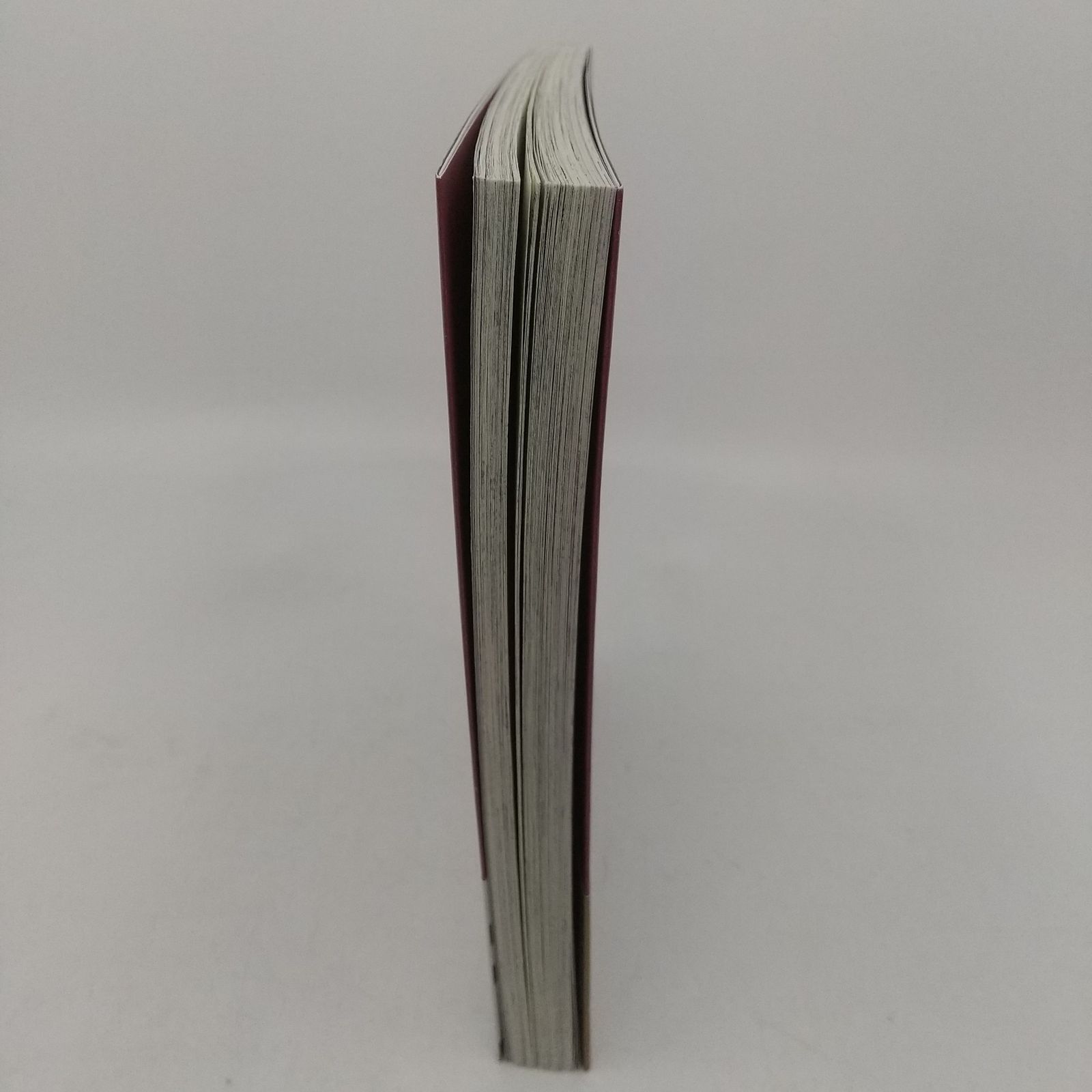 アルテ 21巻 大久保圭 コアミックス Arte OHKUBOKEI ZENONCOMICS