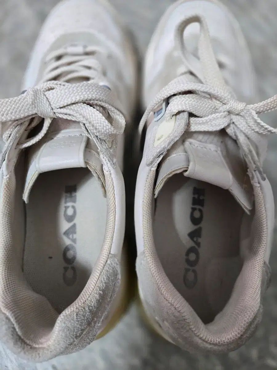  コーチ スニーカー アイボリー 245 フラットシューズ バレエシューズ パンプス