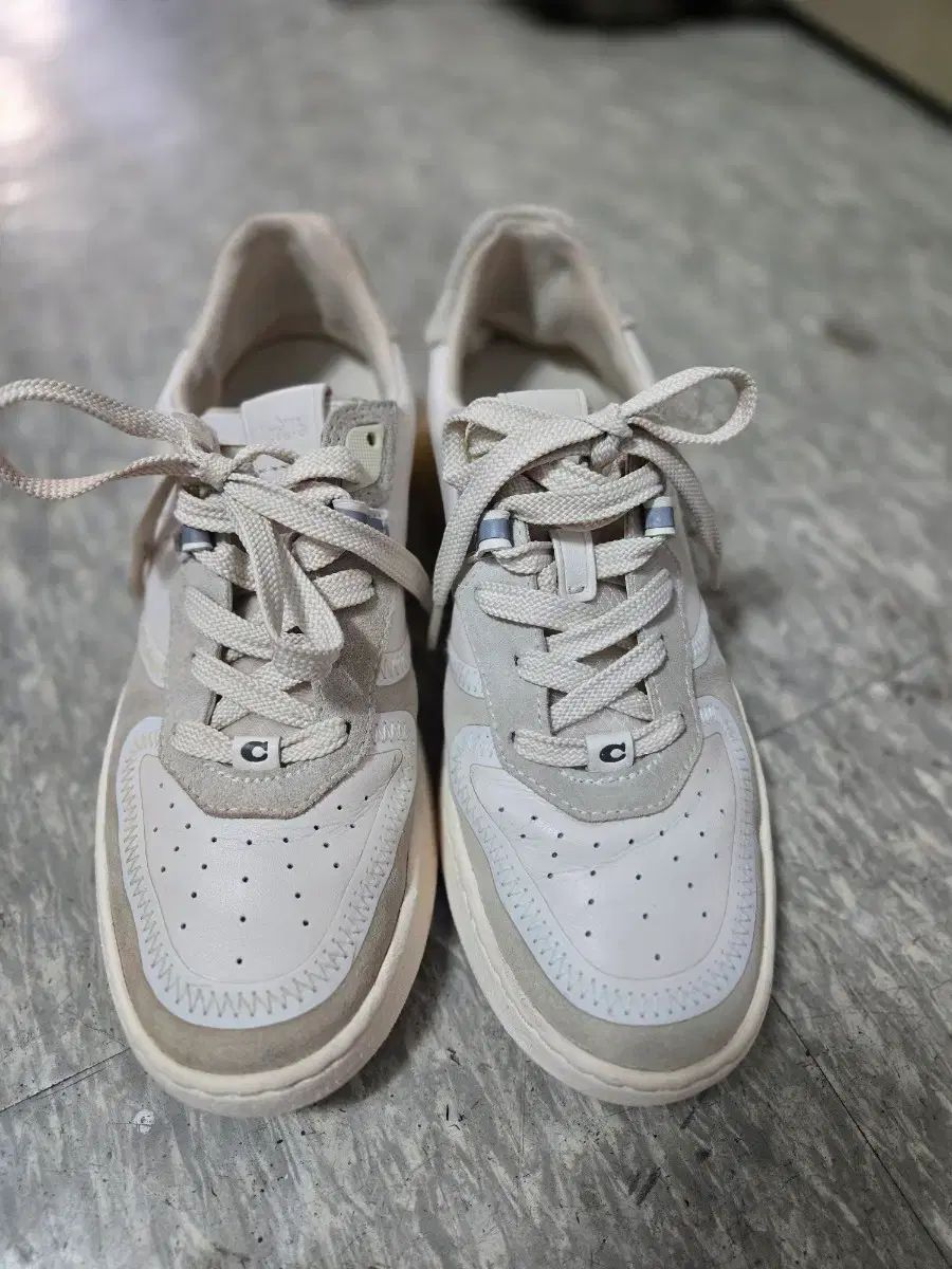 コーチ スニーカー アイボリー 245