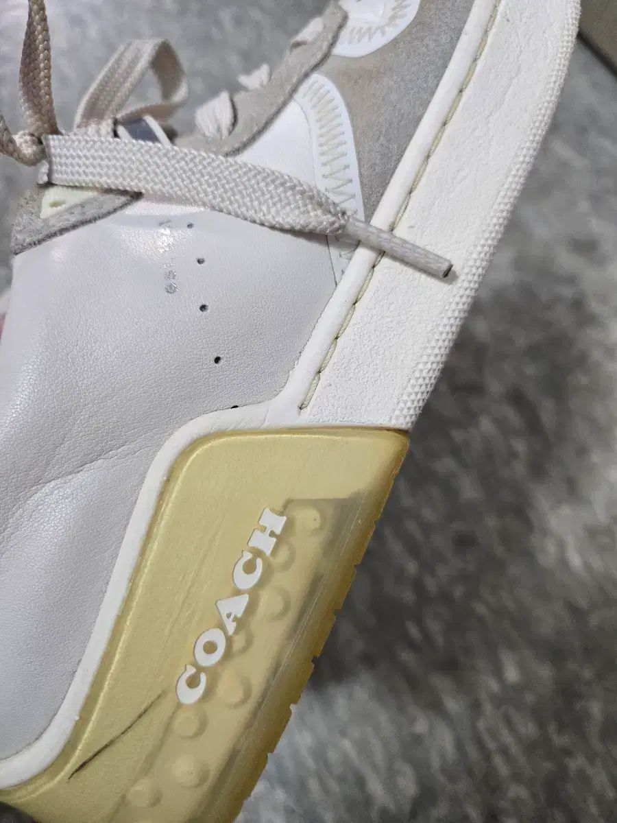 コーチ スニーカー