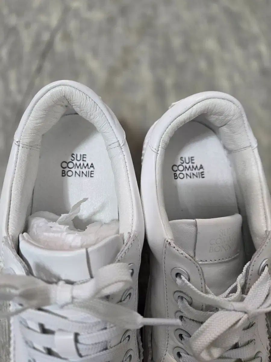 BONNIE シューコンマボニー