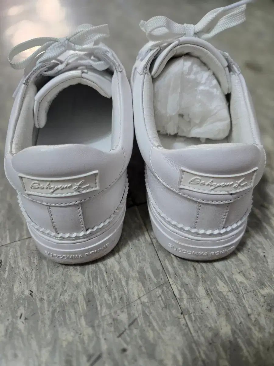 シューコンマボニー 白