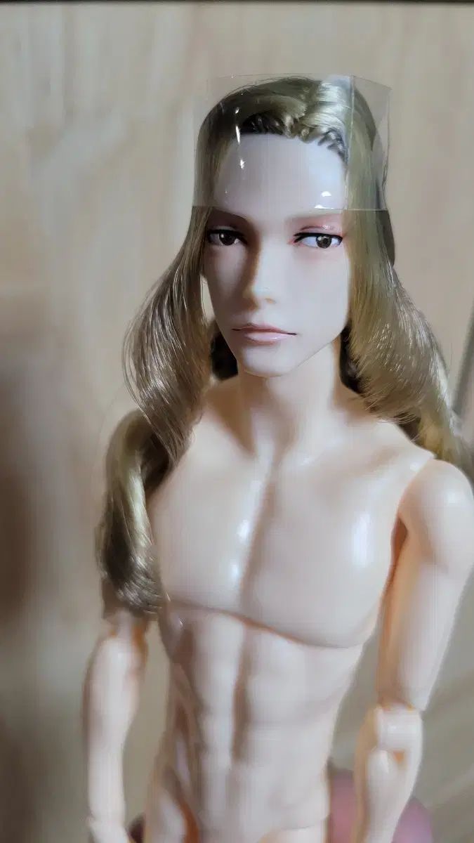 男子図鑑 ヴァンパイア アトリエナイン ヘッドのみ