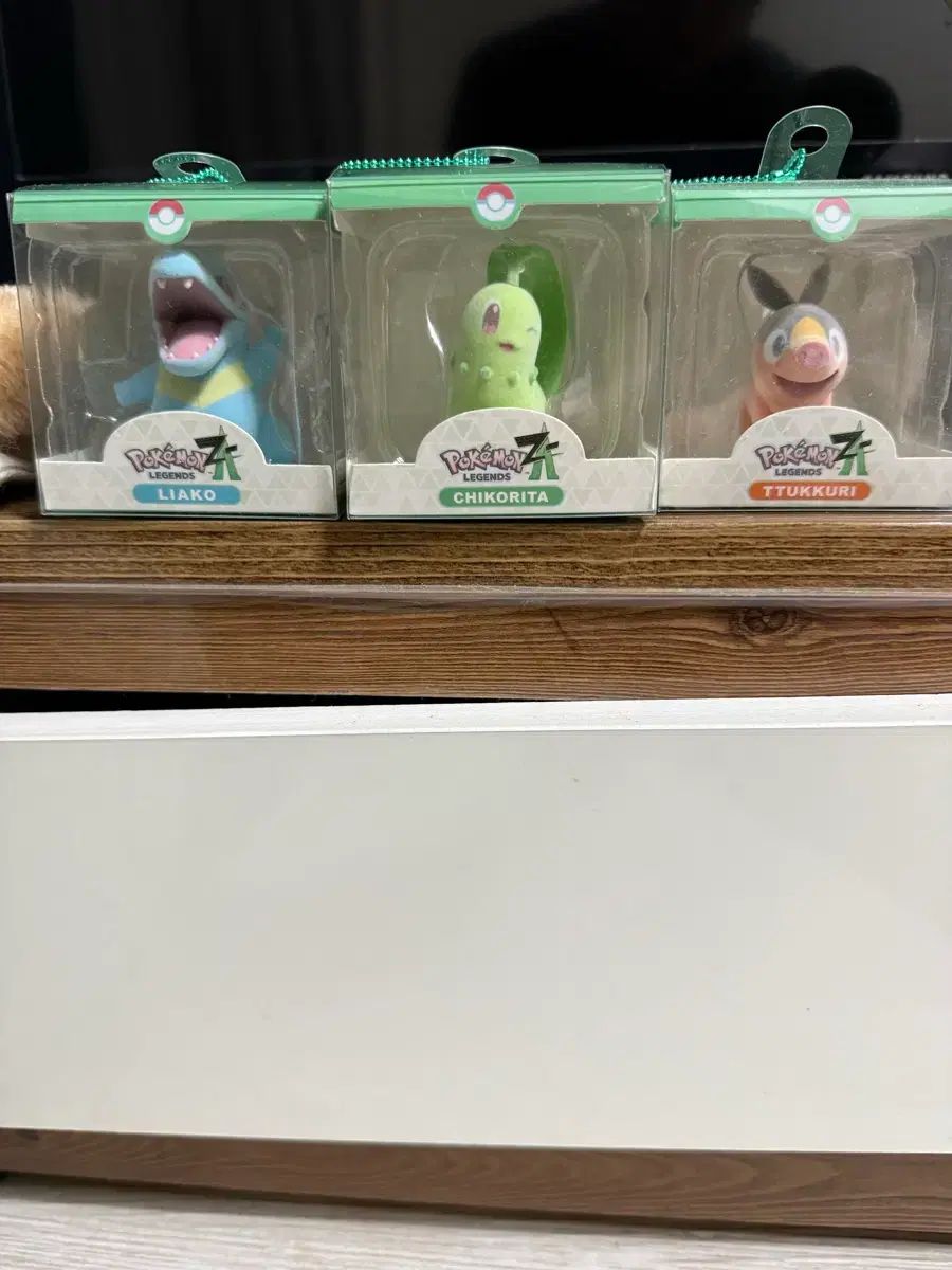 ポケットモンスターZA 特典 フィギュア出品 【公式通販】