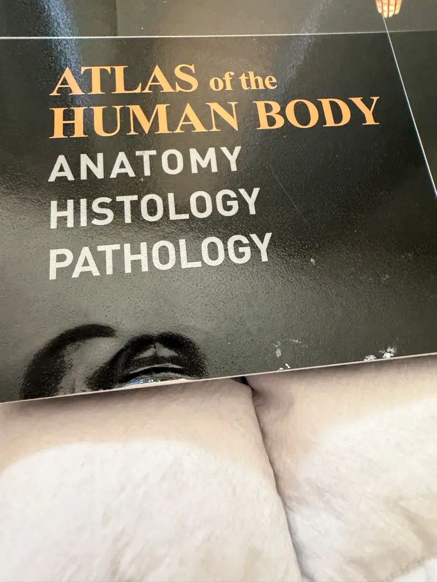 絵で見るウリの解剖学 組織学 病理学 1 2 新旧用語集