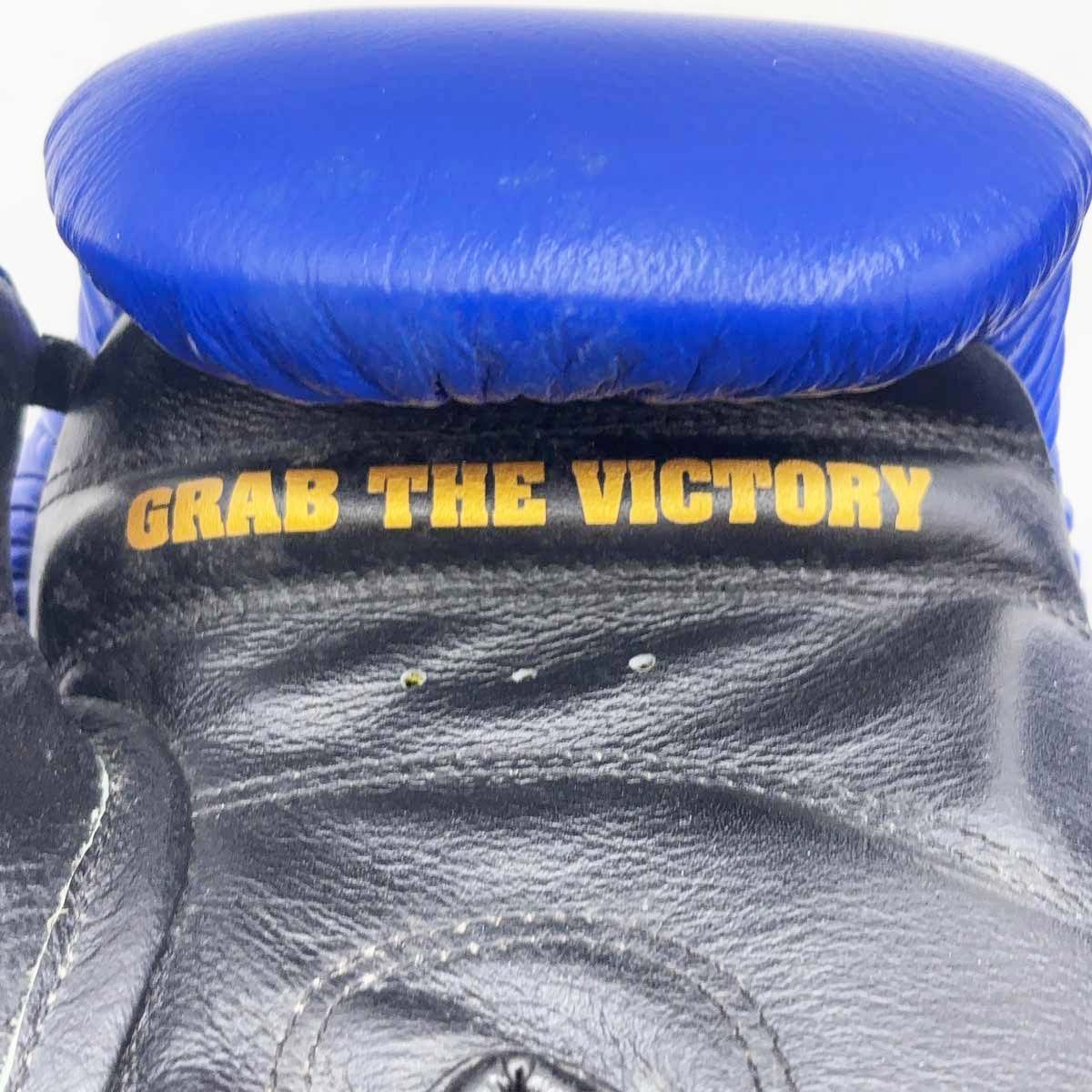 ボディメーカー ボクシンググローブ SPG SAMURAI EDGE 14oz ブルー