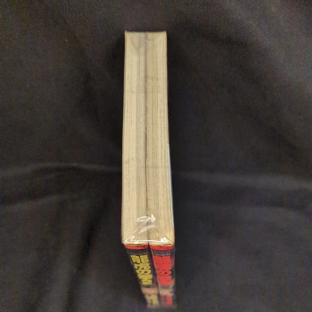 新声社 GAMEST コミックス 天獅子悦也 龍虎の拳2 全2巻 セット - メルカリ